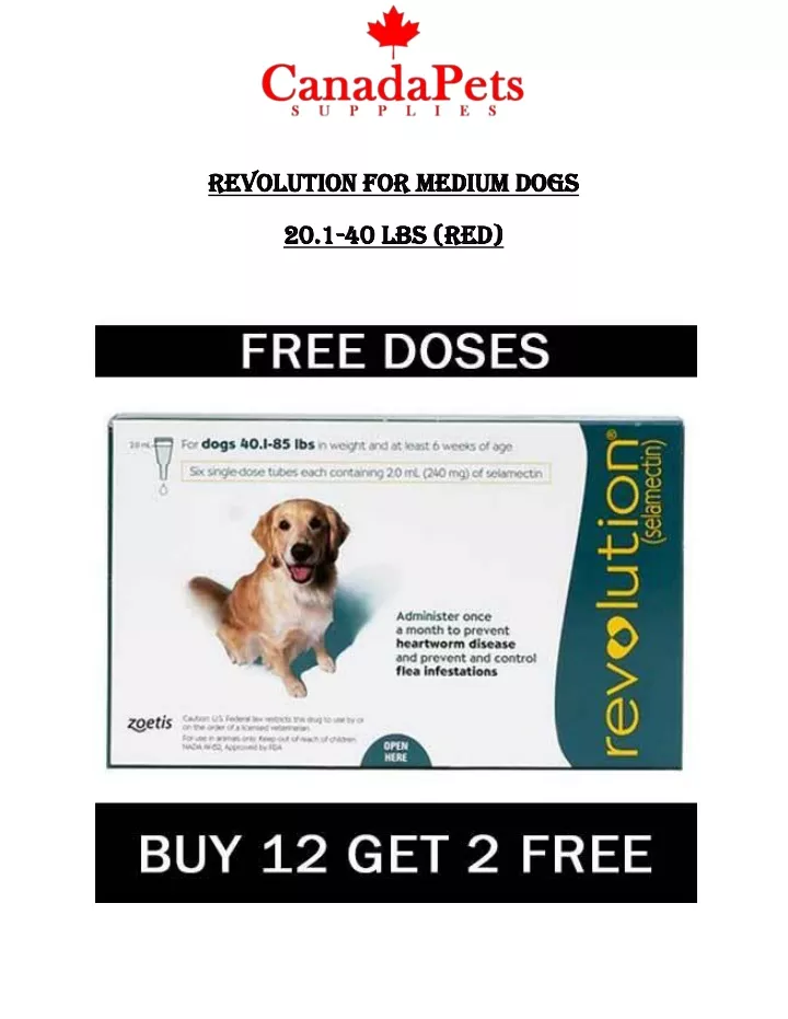revolution for medium dogs revolution for medium