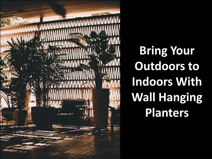 bring your outdoors to indoors with wall hanging planters
