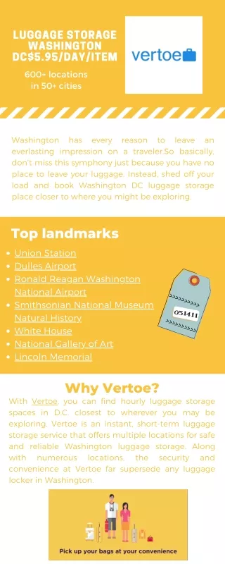 Vertoe Infographic Washington DC