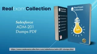 ADM-201 Exam Questions PDF - Salesforce ADM-201 Top Dumps