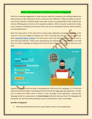 what is the key reason to pursue a career