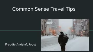 Common Sense Travel Tips: Freddie Andalaft Joost
