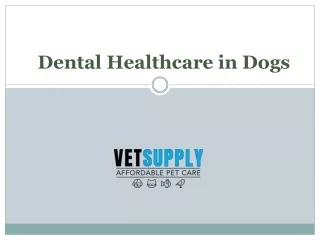 dental healthcare in dogs