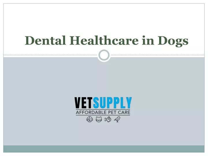 dental healthcare in dogs