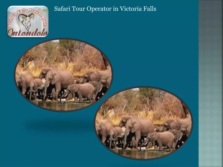 safari tour operator in victoria falls