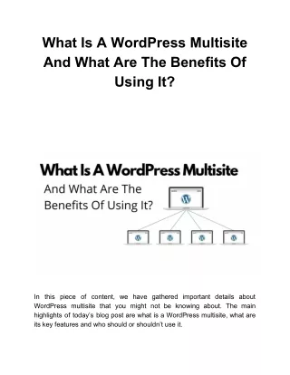 what is a wordpress multisite and what