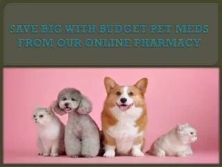 SAVE BIG WITH BUDGET PET MEDS FROM OUR ONLINE PHARMACY
