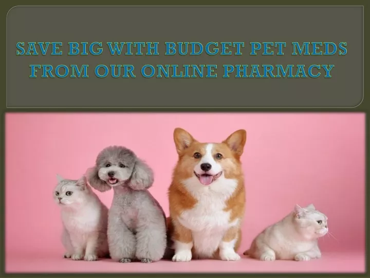 save big with budget pet meds from our online pharmacy