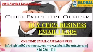CEO's Business Email Leads