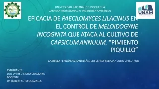 EFICACIA DE PAECILOMYCES LILACINUS EN EL CONTROL DE MELOIDOGYNE INCOGNITA QUE ATACA AL CULTIVO DE CAPSICUM ANNUUM , “PIM