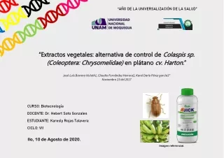 “Extractos vegetales: alternativa de control de Colaspis sp. (Coleoptera: Chrysomelidae) en plátano cv. Harton.”