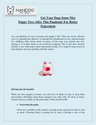 get your dogs some nice