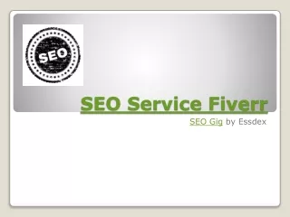 SEO Service Fiverr