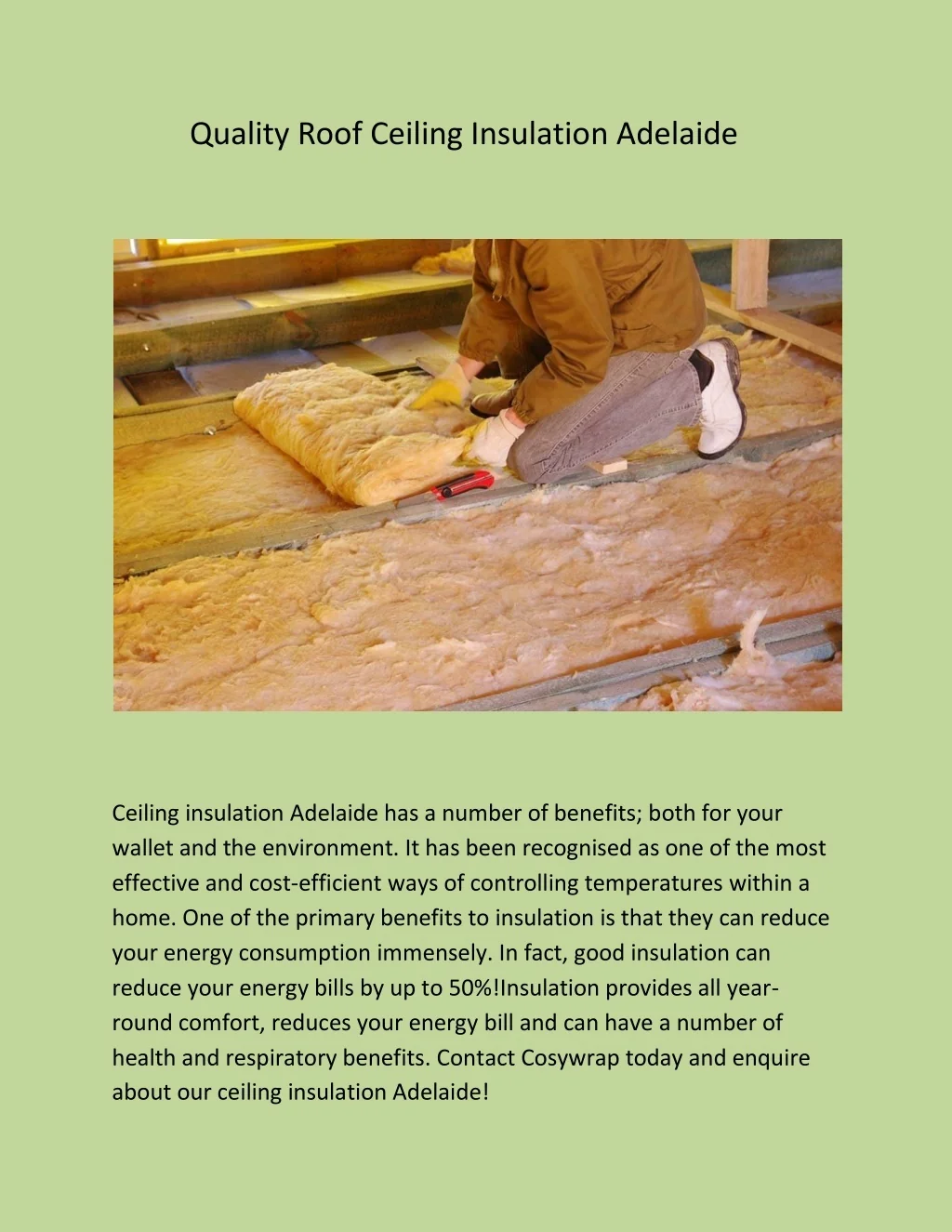 PPT - Quality Roof Ceiling Insulation Adelaide PowerPoint Presentation ...
