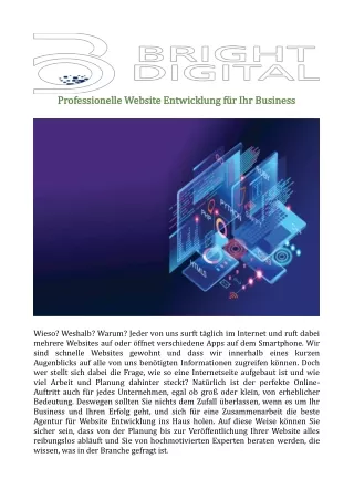professionelle website entwicklung