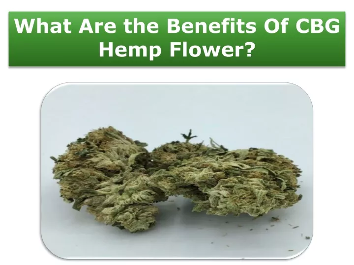 what are the benefits of cbg hemp flower