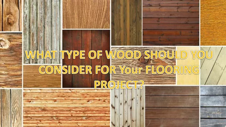 what type of wood should you consider for your