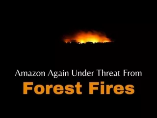 Amazon again under threat from forest fires