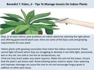 Benedict T. Palen, Jr - Tips To Manage Insects On Indoor Plants