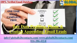 Data Profiling, Phone & Contact Appending Email Leads