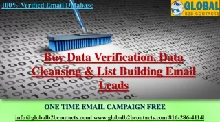 Data Verification, Data Cleansing & List Building Email Leads