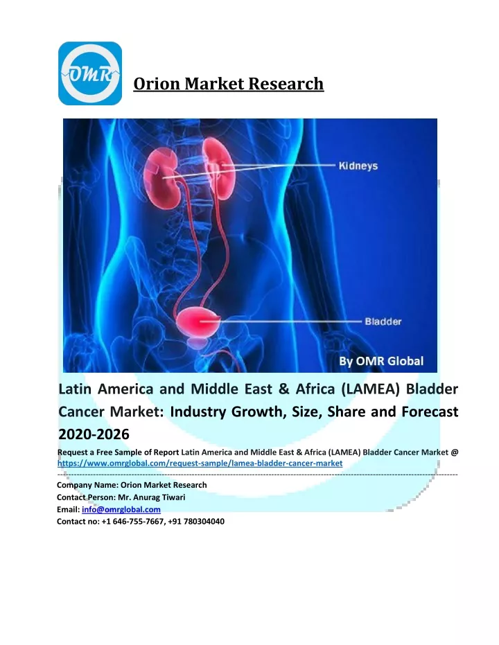 orion market research