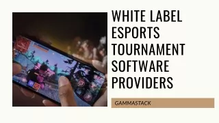 White Label Esports Tournament Software Providers