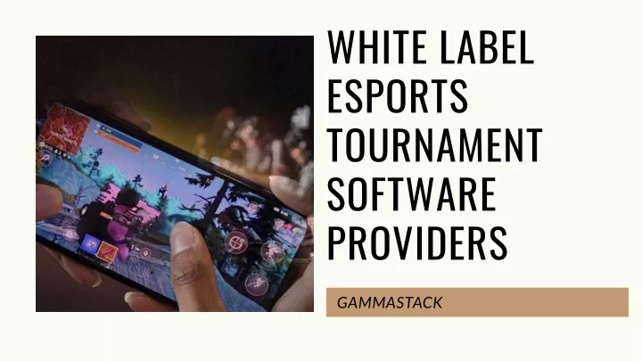 white label esports tournament software providers
