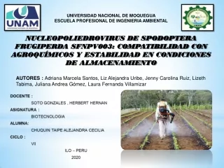 NUCLEOPOLIEDROVIRUS DE SPODOPTERA FRUGIPERDA SFNPV003: COMPATIBILIDAD CON AGROQUÍMICOS Y ESTABILIDAD EN CONDICIONES DE A