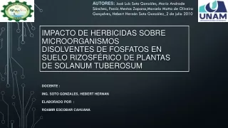 Impacto de herbicidas sobre microorganismos disolvenes de fosfatos en suelos rizosferico de plantas de S.Tuberosum