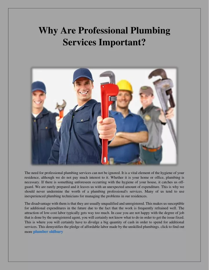 why are professional plumbing services important