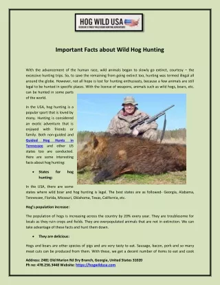 Important Facts about Wild Hog Hunting