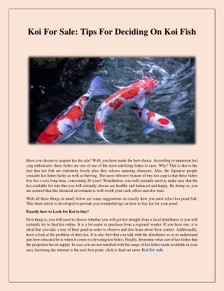 koi for sale tips for deciding on koi fish