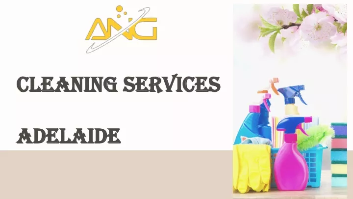 cleaning services adelaide
