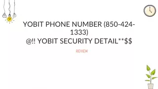 yobit phone number 850 424 1333 @ yobit security detail
