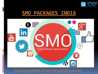 https www indidigital in social media marketing services