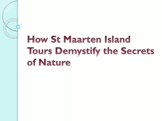 How St Maarten Island Tours Demystify the Secrets of Nature