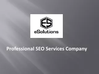 Professional SEO Services Company | Digieus eSolutions