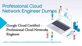 professional cloud professional cloud network