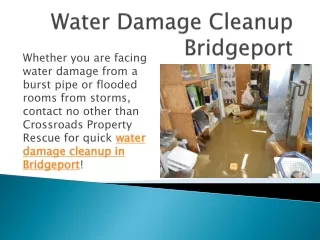 Water Damage Cleanup Bridgeport
