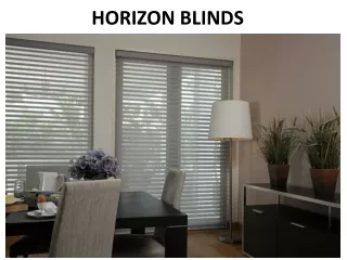 horizon blinds