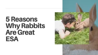 5 Reasons Why Rabbits Are Great ESA