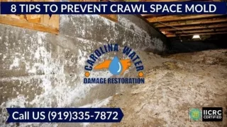 8 Tips to Prevent Crawl Space Mold