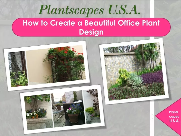 how to create a beautiful office plant design