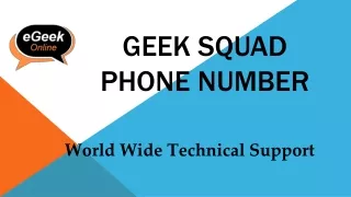 geek squad phone number