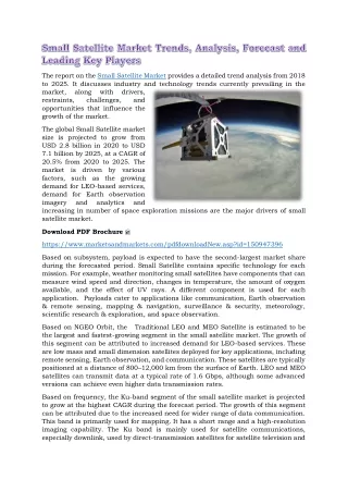 the report on the small satellite market provides