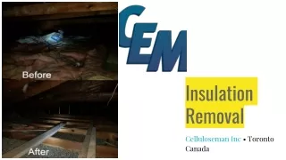Remove Insulation | Toronto Canada | Celluloseman Inc