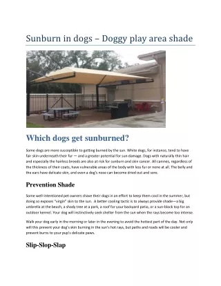 Sunburn in dogs - Doggy play area shade | Creative Shade Solutions