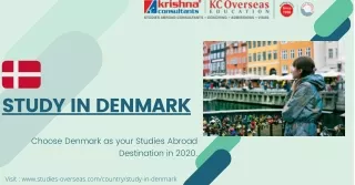 study in denmark