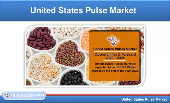 united states pulse market